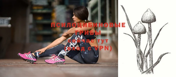 МДПВ Нефтегорск