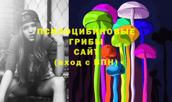 стаф Нефтекумск