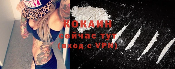 МДПВ Нефтегорск