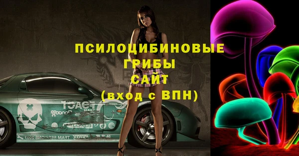 кокс Нея