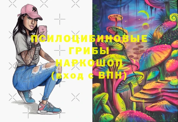 твердый Артём