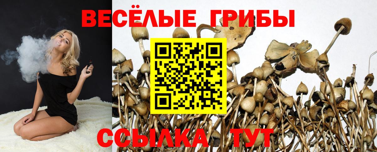 Геленджик  Галлюциногенные грибы мицелий  Вход с VPN 